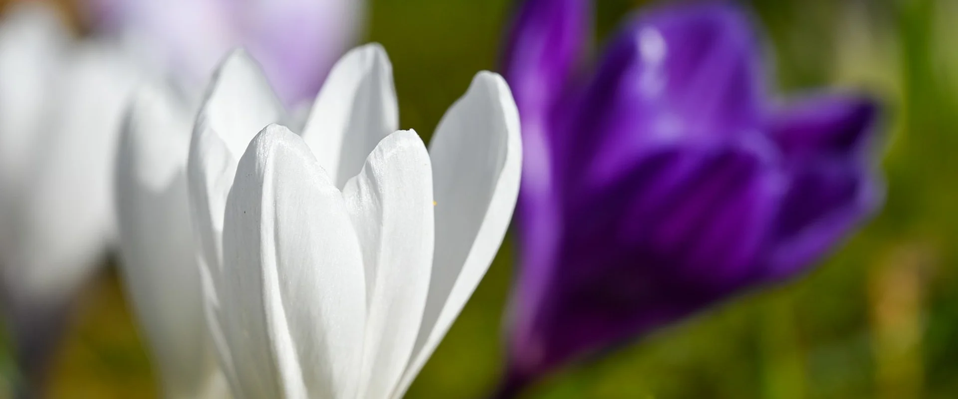 赌博平台PG电子